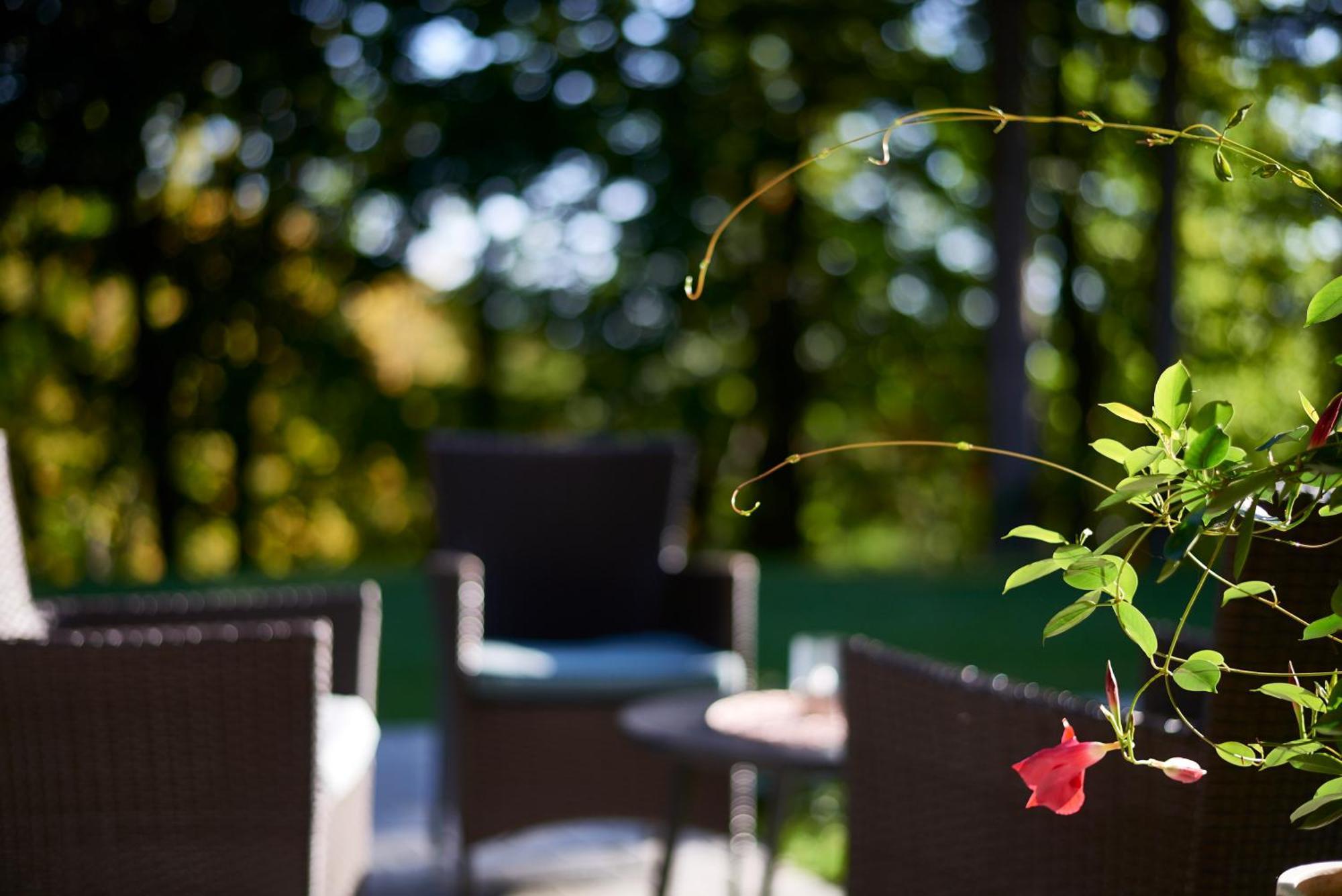B&B Plitvica Creek プリトビッチェ・セロ 部屋 写真